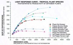 Photosynthesis diagrams under diferent lights(www.tsdfbelize.org ).jpg